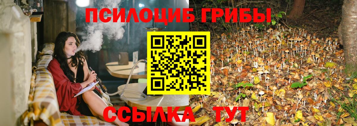 Псилоцибиновые грибы ЛСД Йошкар-Ола